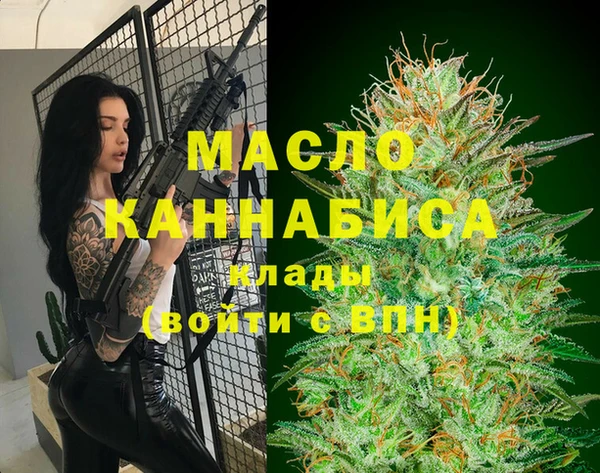 сатива Беломорск