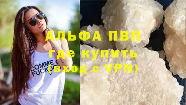 сатива Беломорск