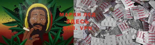 сатива Беломорск
